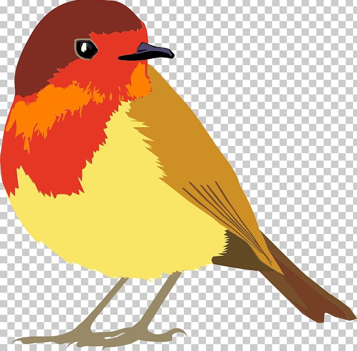 Lovebird European Robin PNG, Clipart, Animals, Beak, Bird, Drawing, Emberizidae Free PNG Download