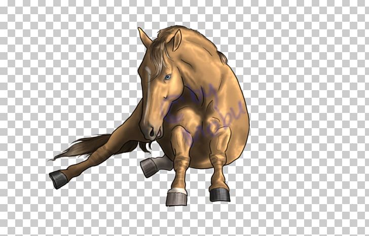 Mane Mustang Pony Foal Stallion PNG, Clipart,  Free PNG Download