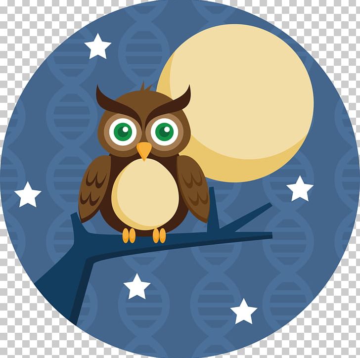 Owl Bird PNG, Clipart, Art, Beak, Bird, Bird Of Prey, Drawing Free PNG Download