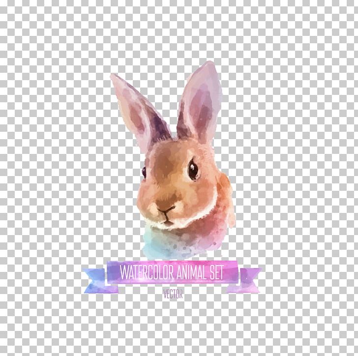 Rabbit Watercolor Painting Illustration PNG, Clipart, Animal, Animals, Art, Canvas, Domestic Rabbit Free PNG Download