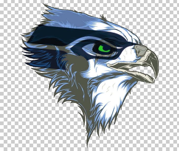 Seattle Seahawks NFL New Orleans Saints National Football League Playoffs PNG, Clipart, 12th Man, American Football, American Football Protective Gear, Bald Eagle, Bird Free PNG Download