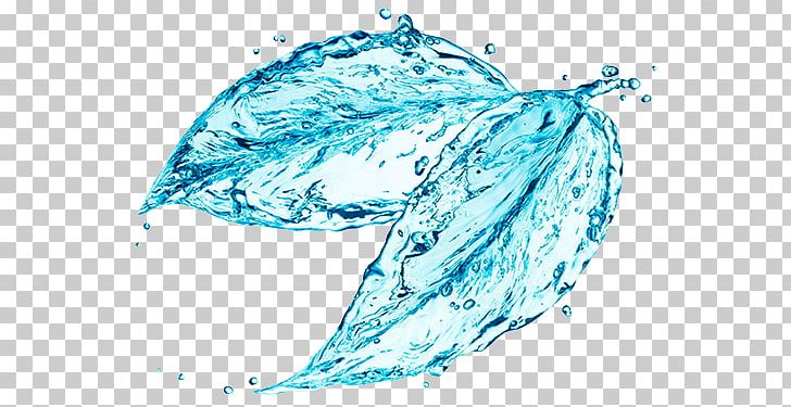 Water Ionizer Stock Photography Leaf Purified Water PNG, Clipart, Dolphin, Fish, Hydrogen Production, Kariyer, Marine Biology Free PNG Download