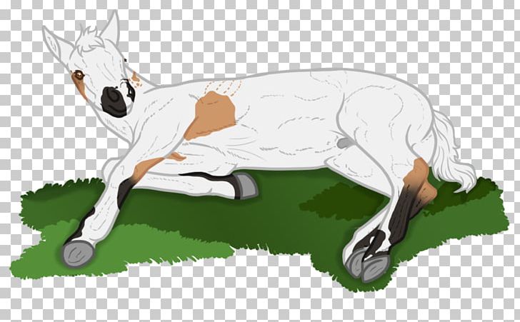 Canidae Cattle Mammal Horse Kangaroo PNG, Clipart, Animal, Animal Figure, Canidae, Carnivoran, Cattle Free PNG Download