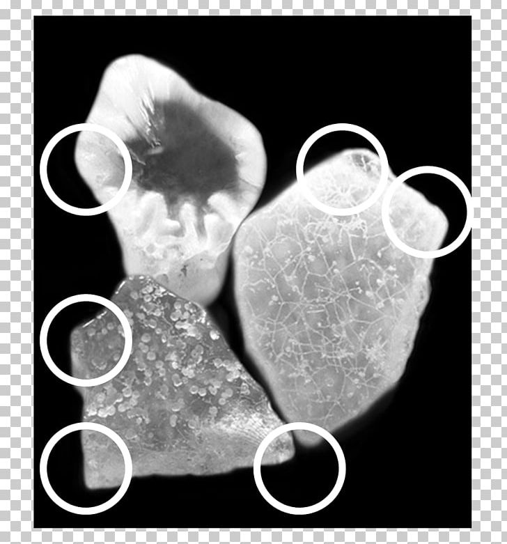 Scanning Electron Microscope Sand Magnification PNG, Clipart, Beach, Black And White, Cell, Color, Ear Free PNG Download