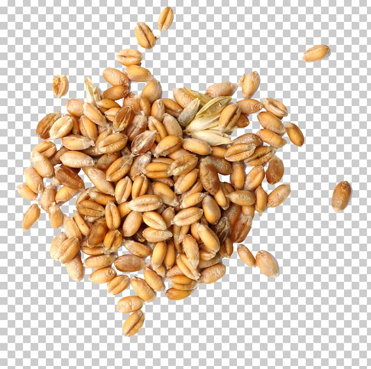 Cereal Germ Wheat Grain PNG, Clipart, Caryopsis, Cereal, Commodity, Dinkel Wheat, Encapsulated Postscript Free PNG Download