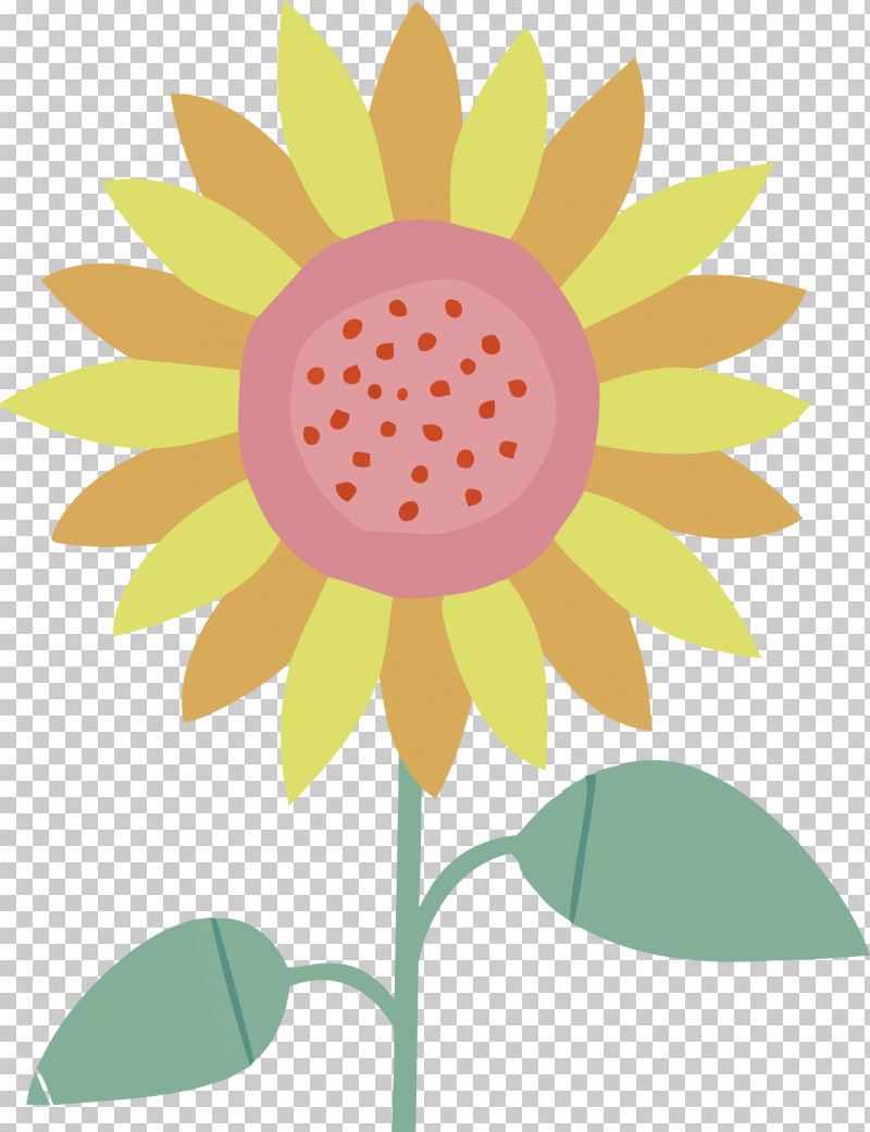 Floral Design PNG, Clipart, Barge, Child Care, Childcare Worker, Common Sunflower, Company Free PNG Download