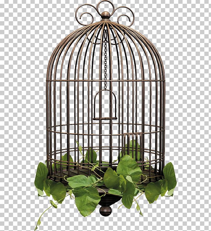 Birdcage Birdcage Metal PNG, Clipart, Animals, Bird, Birdcage, Cage, Cell Free PNG Download