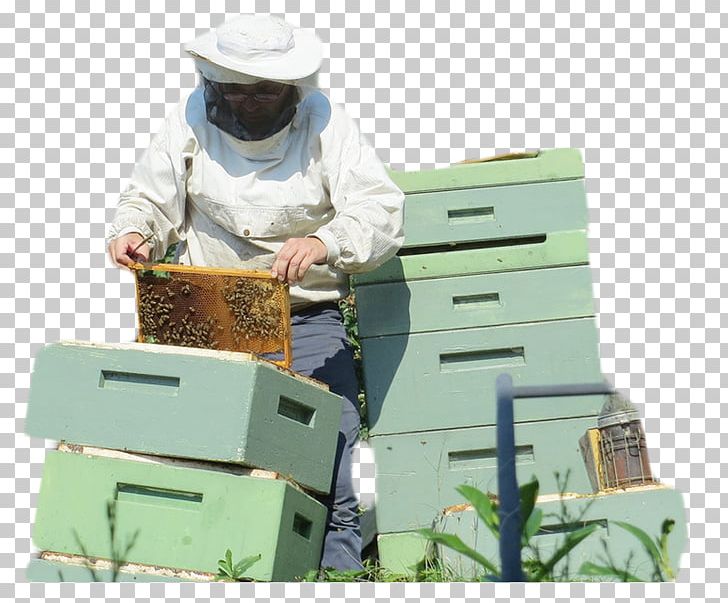 Canada Beehive Beekeeping Beekeeper PNG, Clipart, Bee, Beehive, Beekeeper, Beekeeping, Canada Free PNG Download