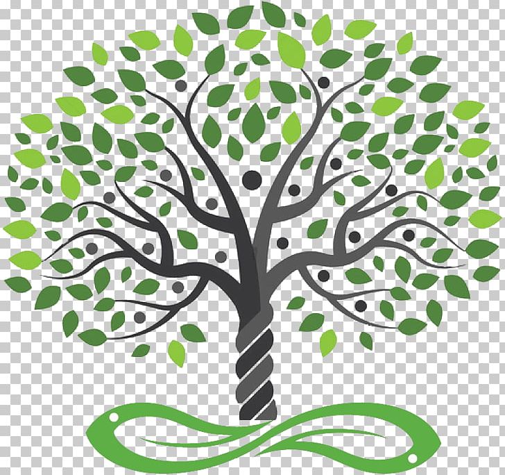 Drawing Tree PNG, Clipart, Branch, Depositphotos, Drawing, Flora, Graphic Design Free PNG Download
