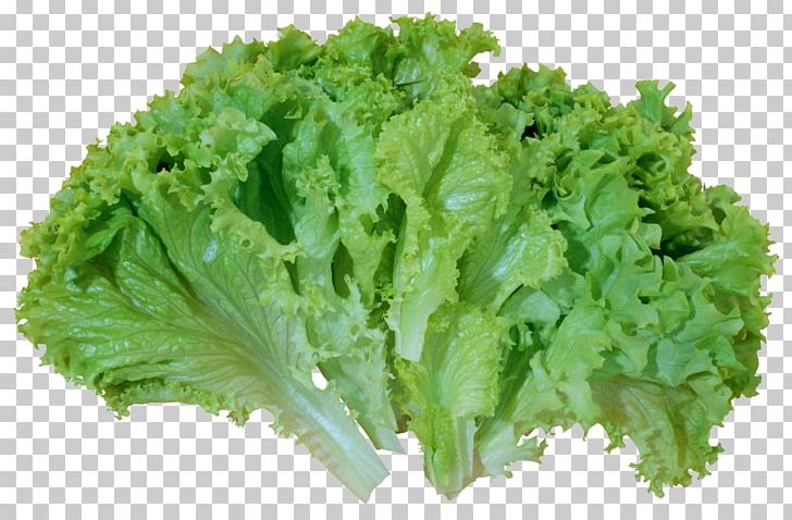 Greek Salad Lettuce PNG, Clipart, Broccoli, Cabbage, Collard Greens, Endive, Food Free PNG Download