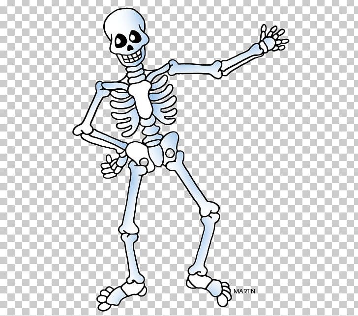 Human Skeleton PNG, Clipart, Area, Arm, Art, Black And White, Bone Free PNG Download