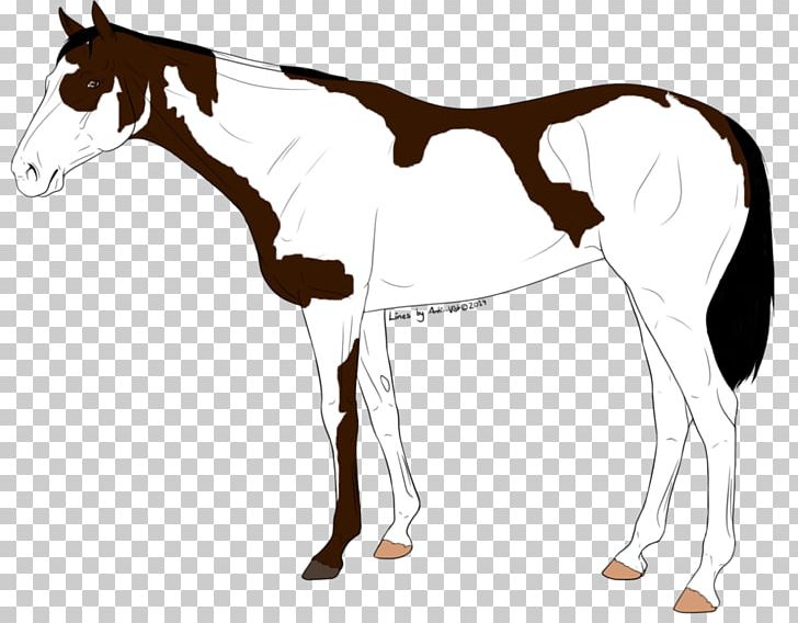Mule Foal Stallion Mustang Mare PNG, Clipart, Bridle, Colt, Foal, Halter, Horse Free PNG Download