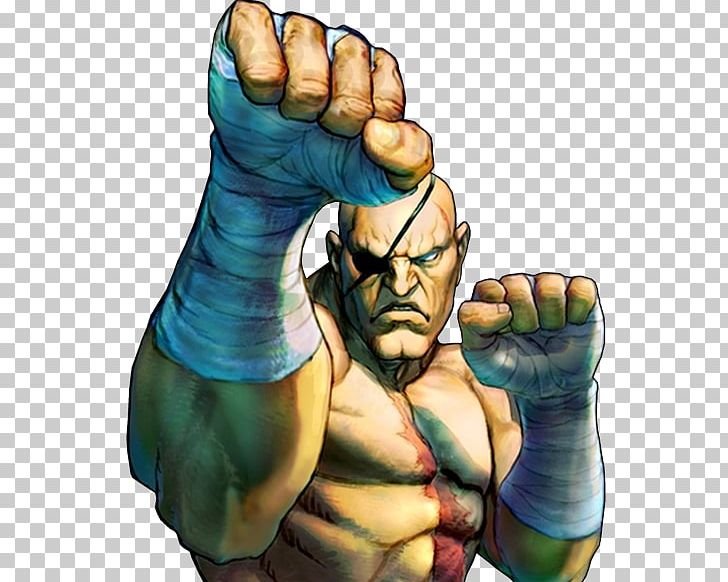 street fighter characters sagat
