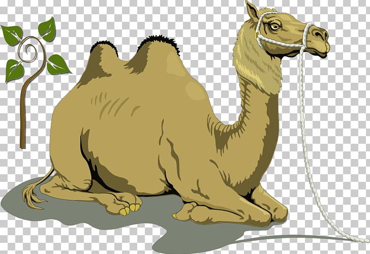 Bactrian Camel Dromedary Free Content PNG, Clipart, Animals, Bactrian Camel, Cartoon, Creative Ads, Creative Artwork Free PNG Download