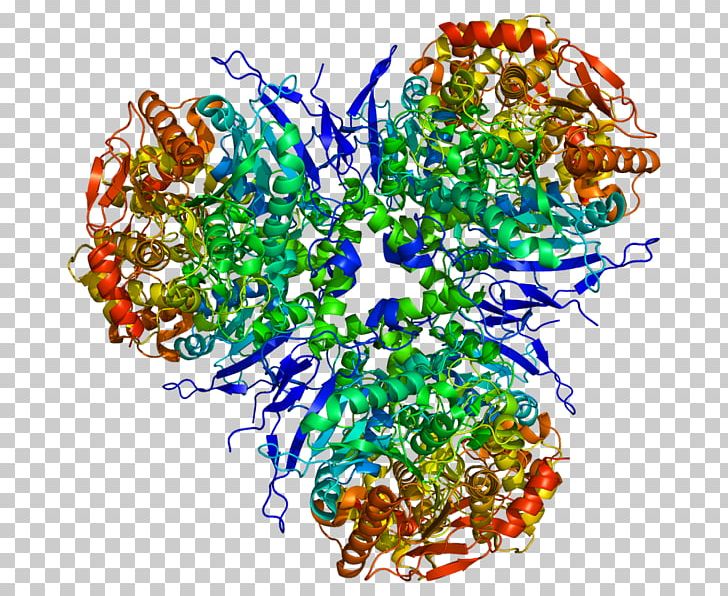 Carboxylesterase 1 Carboxylesterase 2 Enzyme PNG, Clipart, Active Site, Art, Carboxylesterase, Carboxylesterase 1, Carboxylesterase 2 Free PNG Download