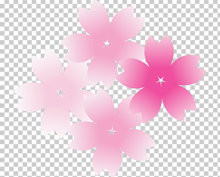 Japan Cherry Blossom PNG, Clipart, Blossom, Cherry Blossom, Computer Wallpaper, Download, Flower Free PNG Download