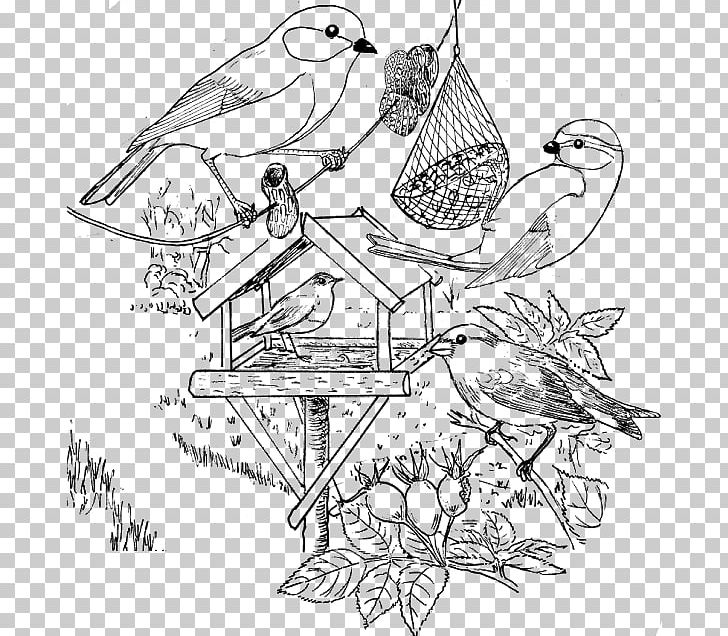 Bird Stichting Landschapsbeheer Flevoland Vogels Voeren Kleurplaat Drawing PNG, Clipart, Angle, Animals, Artwork, Beak, Bird Free PNG Download