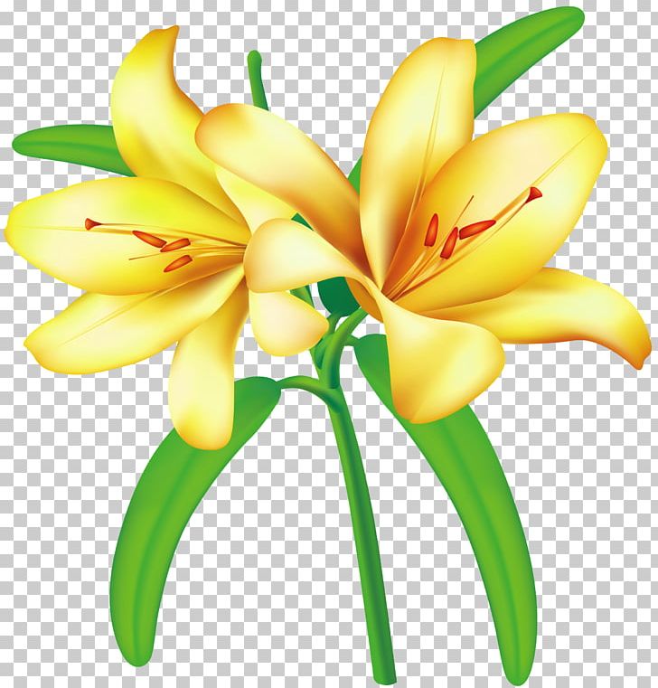 Flower Yellow PNG, Clipart, Clipart, Clip Art, Color, Cut Flowers, Encapsulated Postscript Free PNG Download