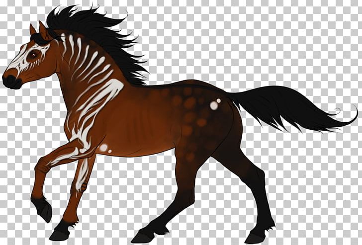 Foal Stallion Mustang Mare Colt PNG, Clipart, Animal Figure, Bridle, Colt, Deviantart, Drawing Free PNG Download