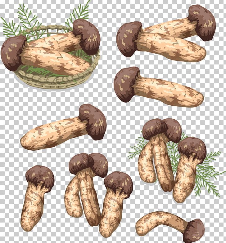 Matsutake Fungus Mushroom Shiitake Tuber PNG, Clipart, Boudin, Edible Mushroom, Food, Garlic, Ingredient Free PNG Download