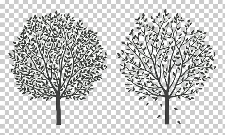 Tree Twig Silhouette Cartoon Line Art PNG, Clipart, Animals, Black, Black And White, Branch, Christmas Tree Free PNG Download