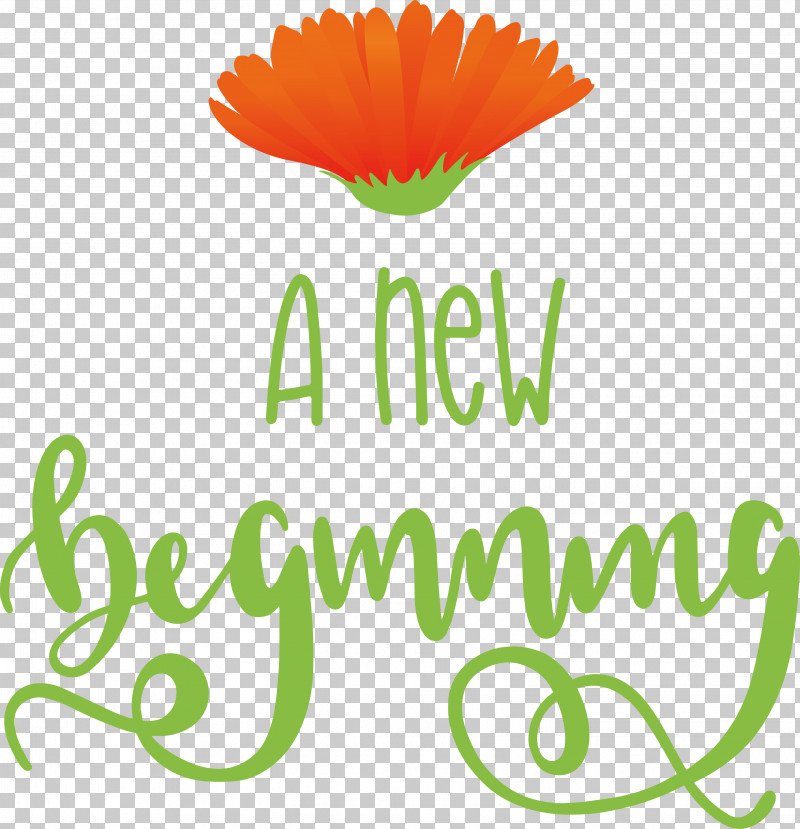 A New Beginning PNG, Clipart, Amazoncom, Book, Createspace, Cut Flowers, Diary Free PNG Download