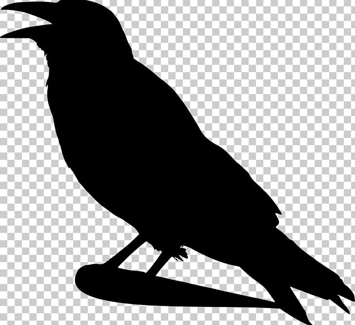 American Crow Common Raven Bird Silhouette PNG, Clipart, American Crow, Beak, Bird, Black And White, Common Raven Free PNG Download