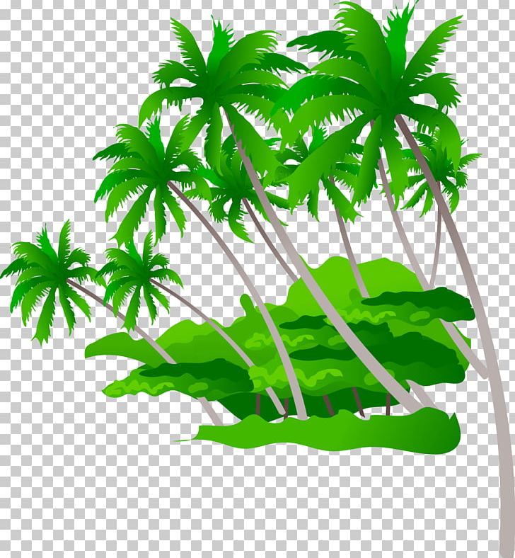 Beach Summer Desktop Photography PNG, Clipart, Arecales, Cannabis, Coco, Coconut, Coconut Leaves Free PNG Download