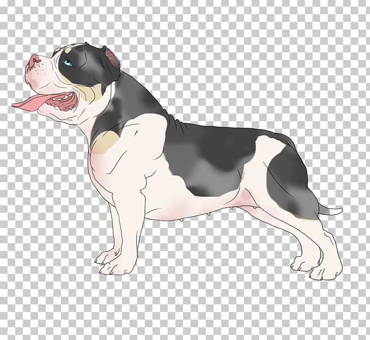 Boston Terrier Puppy Dog Breed Non-sporting Group Snout PNG, Clipart, Animals, Boston Terrier, Breed, Carnivoran, Dog Free PNG Download