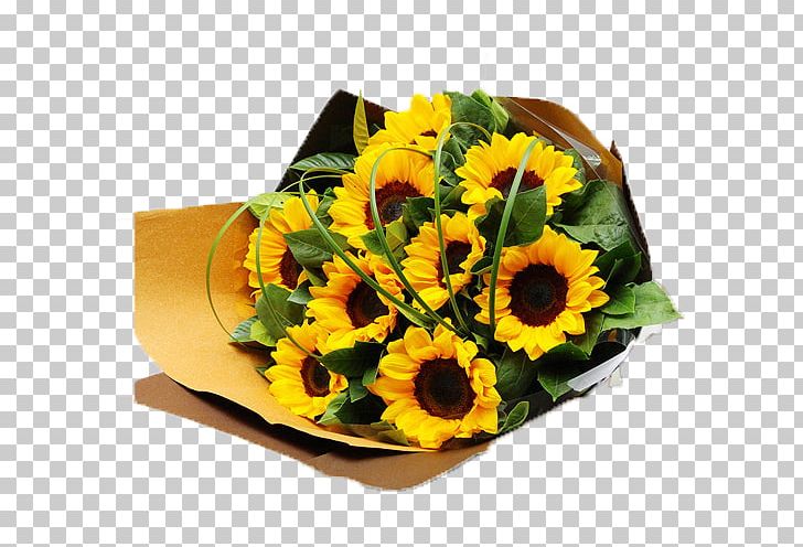 Common Sunflower Nosegay Flower Bouquet PNG, Clipart, Christmas Gifts, Common Sunflower, Cut Flowers, Daisy Family, Designer Free PNG Download