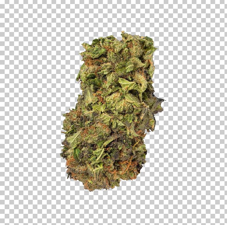 Kush Medical Cannabis Cannabis Sativa Project MKUltra PNG, Clipart, Breed, California, Camouflage, Canada, Cannabis Free PNG Download