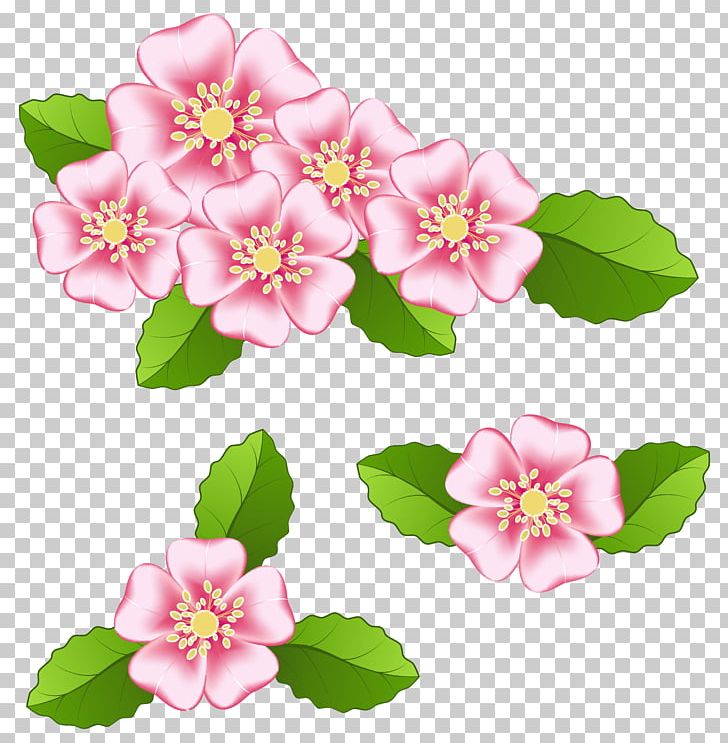 Desktop Pink Flowers Art PNG, Clipart, Art, Art Museum, Blog, Blossom, Cherry Blossom Free PNG Download