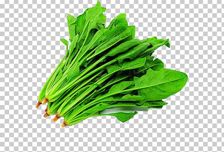 Spinach Vegetable Food Seed Herb PNG, Clipart, Chard, Chenopodioideae, Choy Sum, Collard Greens, Food Free PNG Download