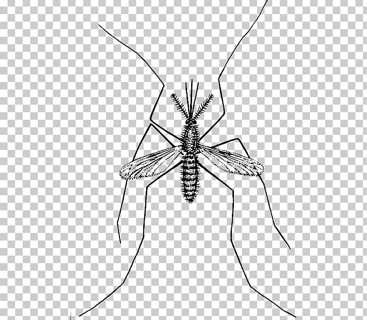 Computer Icons Marsh Mosquitoes PNG, Clipart, Arthropod, Artwork, Black And White, Computer Icons, Desktop Wallpaper Free PNG Download