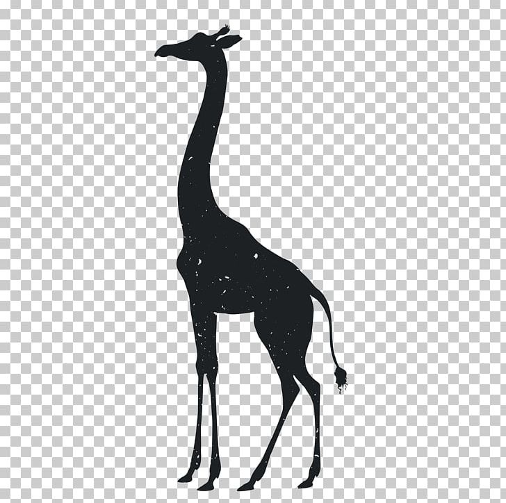 Giraffe Tiger Silhouette Animal Drawing PNG, Clipart, 3d Animation, Animal, Animals, Anime Character, Anime Girl Free PNG Download