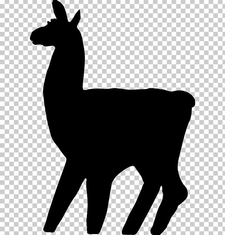 Llama Alpaca PNG, Clipart, Alpaca, Black, Black And White, Camel, Camel Like Mammal Free PNG Download