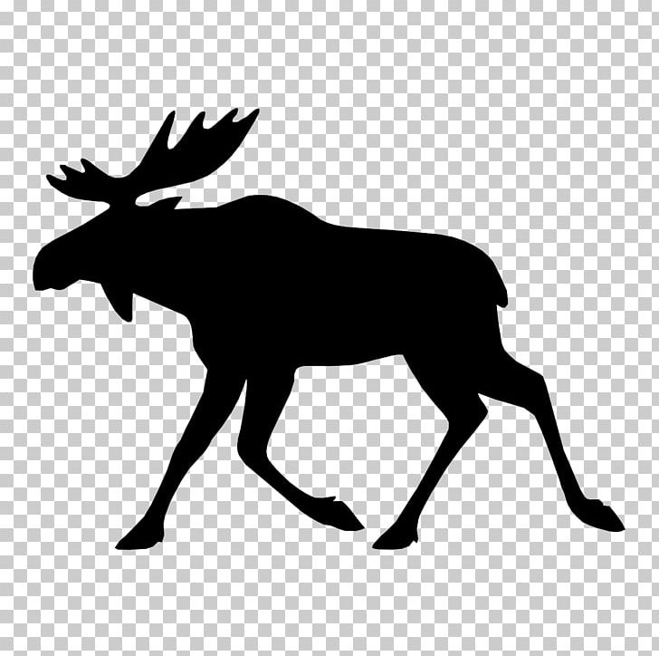 Moose Deer Elk PNG, Clipart, Animals, Antler, Bear Hunting, Black And White, Computer Icons Free PNG Download