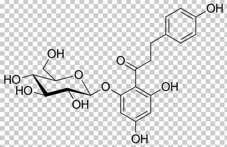 Phlorizin Medicinal Plants SGLT2 Chemical Substance Broadleaf Plantain PNG, Clipart, Angle, Area, Auto Part, Black And White, Brand Free PNG Download