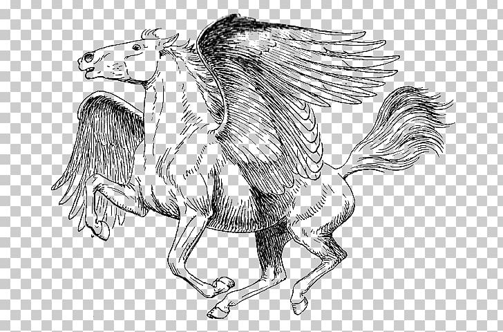 Coloring Book Drawing Pegasus Paper PNG, Clipart, Adult, Art, Author, Bird, Black And White Free PNG Download
