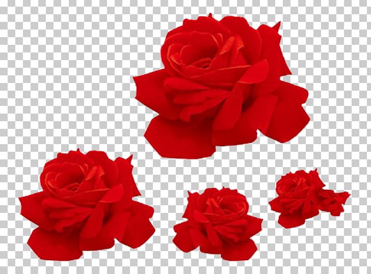 Red Flower Fold PNG, Clipart, Beach Rose, Carnation, Chemical Element, Cut Flowers, Decorative Patterns Free PNG Download