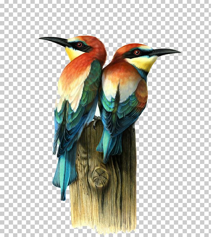 Bird Visual Arts Drawing Illustration PNG, Clipart, Animals, Art, Artist, Beak, Behance Free PNG Download