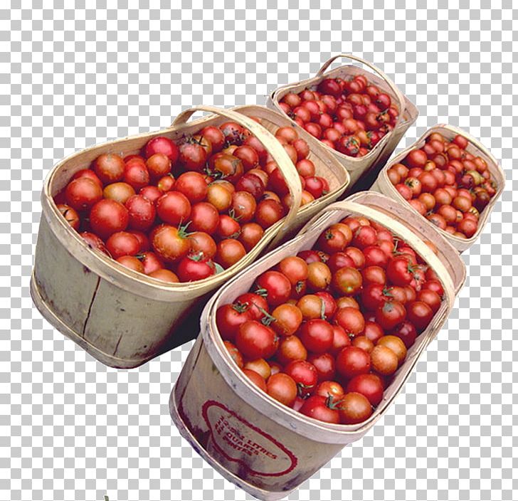 Cranberry Pink Peppercorn Natural Foods Superfood PNG, Clipart, Auglis, Berry, Cherry, Cranberry, Food Free PNG Download