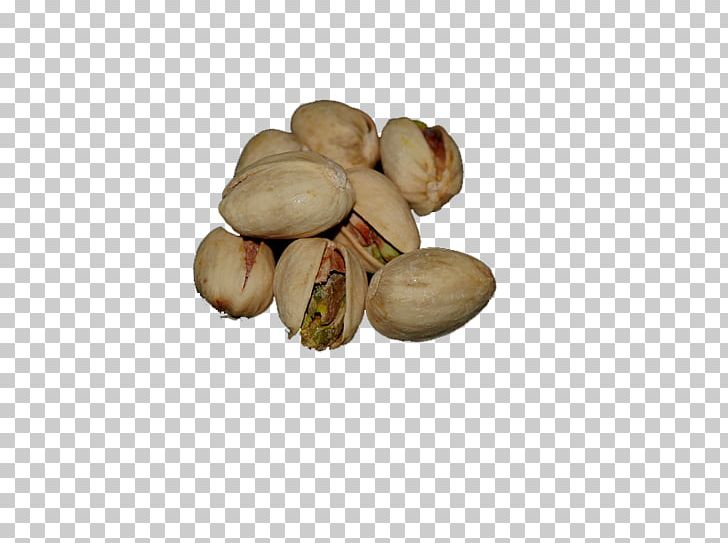 Pistachio Nut Ketogenic Diet Gelato PNG, Clipart, Blood Type Diet, Carbohydrate, Diet, Dieting, Download Free PNG Download