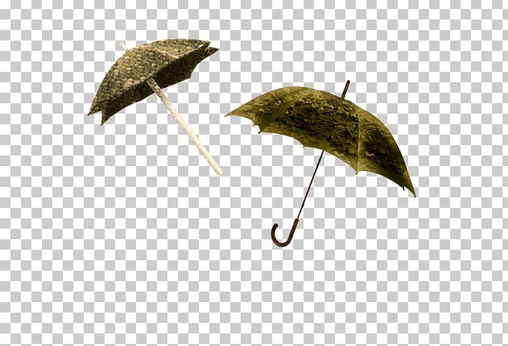 Umbrella Raincoat PNG, Clipart, Animaux, Autumn, Chien, Clip Art, Fleur Free PNG Download