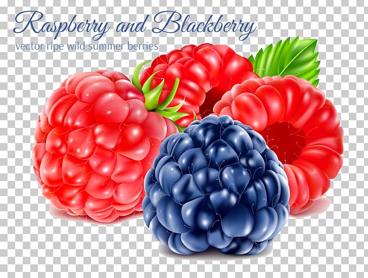Juice Blueberry Raspberry Blackberry PNG, Clipart, Amora, Auglis, Berry, Boysenberry, Food Free PNG Download