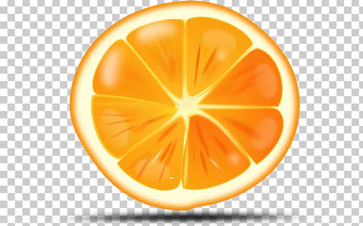 Juice Margarita Orange Slice PNG, Clipart, Apple, Circle, Citric Acid, Citrus, Food Free PNG Download
