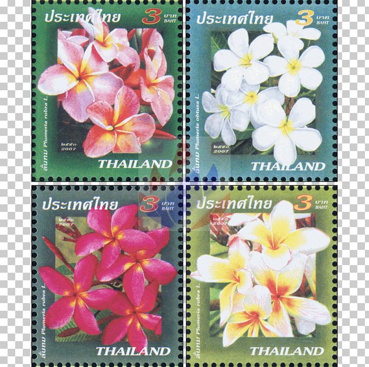 Thailand Flowering Plant Postage Stamps Plants PNG, Clipart, Flora, Flower, Flowering Plant, Others, Petal Free PNG Download