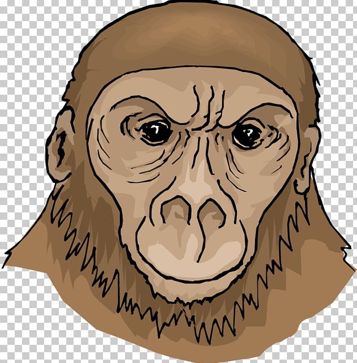 Ape Gorilla Giant Panda PNG, Clipart, Ape, Ape Cliparts, Art, Cartoon, Drawing Free PNG Download