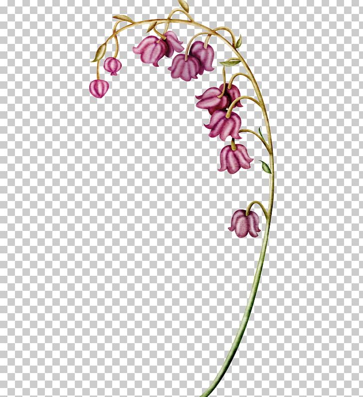 Lily Of The Valley Flower Euclidean PNG, Clipart, Border, Branch, Color, Encapsulated Postscript, Flora Free PNG Download