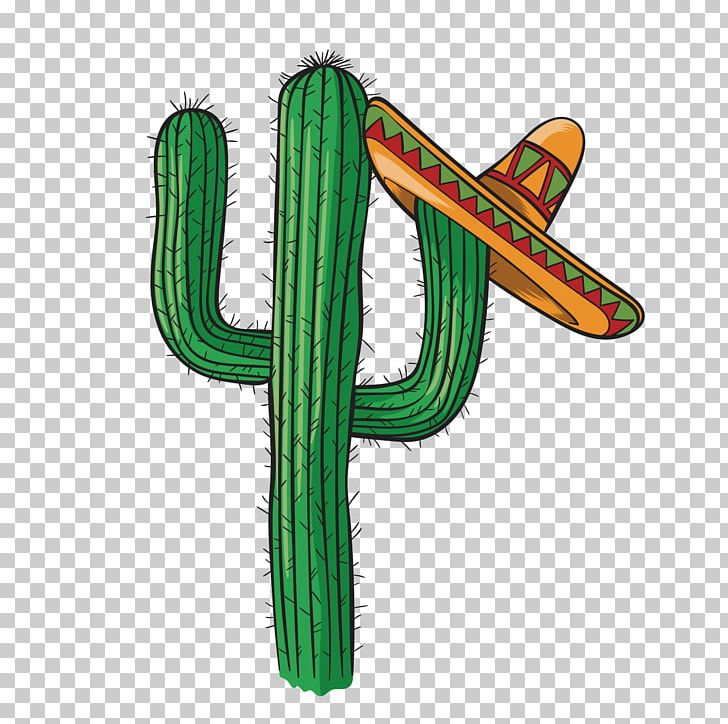 Mexico Mexican Cuisine Portable Network Graphics Graphics PNG, Clipart, Cactus, Caryophyllales, Computer Icons, Culture, Flowering Plant Free PNG Download